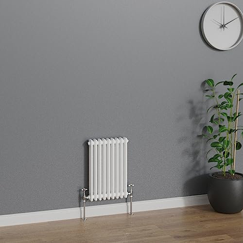 WarmeHaus Radiateur traditionnel horizontal en fonte à double colonne Blanc 600 x 425 mm