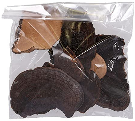 Baumschwamm - 1 kg - Natur dunkel