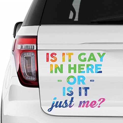 Calcomanía de vinilo LGBT para autos, portátiles, ventanas, paredes, nevera, inodoro y más, 15 pulgadas