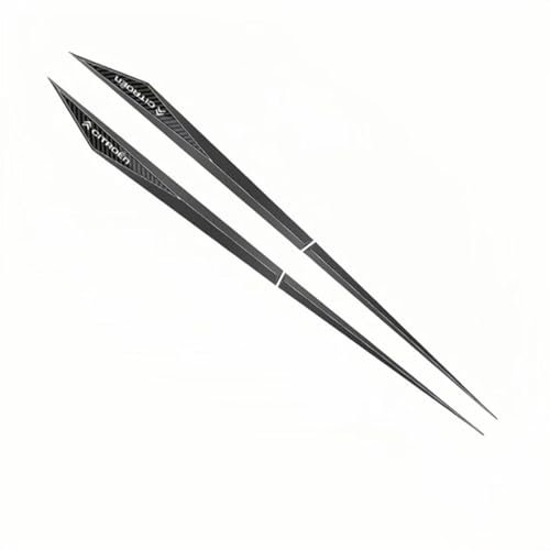 WUDILIYI 2 Stück Auto Metall Aufkleber Seitlicher Kotflügel für Citroen Jumpy III M 2016-, Styling Personalisieren Sport Emblem Abziehbild Karosserie 3D Dekorative,D