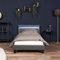 Home Deluxe - LED Bett Astro - Dunkelgrau, 90 x 200 cm - Inkl. Lattenrost I Polsterbett Design Bett inkl. Beleuchtung