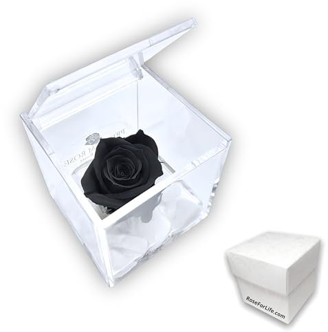 PREMIUM ROSE - Cubo Rosa Stabilizzata Nera 6 cm con Marmo di Carrara - Rosa Eterna Stabilizzata Made in Italy - Idea per Occasioni Formali e Chi ha Stile Dark - Nero A 1067