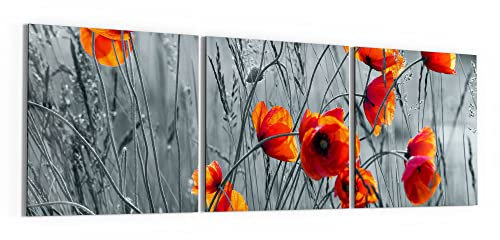 DEQORI Glasbilder Acrylglas | Motiv Rote Mohnblumen | horizontal 3-teilig 150x50 cm | große XXL Deko | Wandbilder für Wohnzimmer, Schlafzimmer, Flur & Küche | moderne Wanddeko