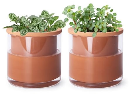 Phoenix Vine 51-A-E-2 Selbstbewässernder Pflanzentopf, Design Terrakotta-Topf für Pflanzen, Zylinder-Terrakotta-Pflanzgefäß mit Glasvase, 10,2 cm, 2 Stück