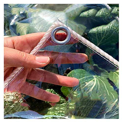 LXLDY Telone Trasparente Impermeabile su Due Lati Tende da Sole Serra Vegetale 0,3 Mm Telone in PVC Usato per Serra, Giardino, Terrazza, 15 Specifiche (2x5m)