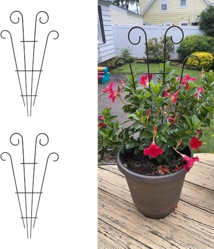 2 Pack Black Coated Wave Pot Trellis 31'' Stakes for Climbing Plants Patio Plant Support for Outdoor,Rose, Vegetable Flower, Backyard