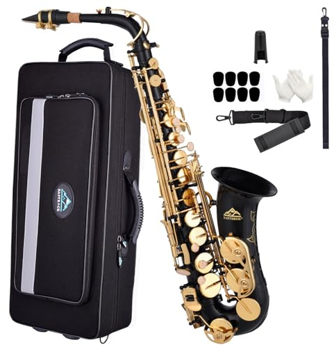 EASTROCK Débutants Saxophones Alto E Plat en Laiton Laqué Doré, Noir | Mi Bémol Saxophones, avec Étui Rigide, Convient aux Débutants, aux Adultes et aux Enseignants
