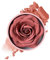 Blush Roses, Rosso, 3D Rosa Petal Texture, Lightweight Buildable Formula, Blends Effortlessly, Long Lasting Cheek Color for Face Makeup Girls Parties Gatherings, 10 ml