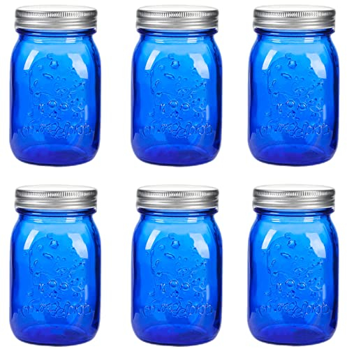 Amzcku 473 ml blaue Einmachgläser mit Deckel, normale Öffnung, 6 Stück, multifunktionaler Glasbehälter, für Aufbewahrung, Einmachen, Einmachen, Einmachen, Einmachen, Gären, Basteln und Dekoration