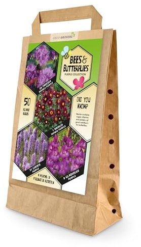 50 Bee & Butterfly Summer Bulb Collection | Purple Bulb Varieties | Eco Packaging | Plant Now Ready to Bloom in Summer