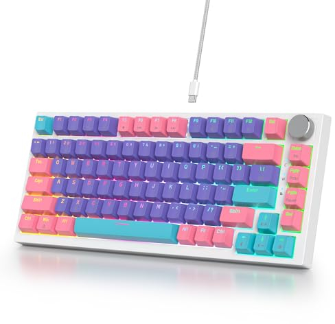 SOLIDEE Wired 75% Mechanical Gaming Keyboard Hot Swappable,Red Switch RGB Backlit keyboard,82 Keys TKL Mechanical Keyboard,PBT Keycaps NKRO Compact Keyboard with Volume Control Knob(82 Purple)
