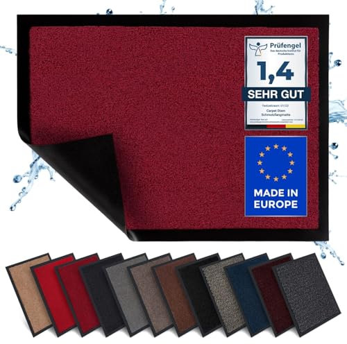 Carpet Diem Fußmatte, einfach sauber I Schmutzfangmatte Eingangsbereich - Fussmatte Innen & Außen, rutschfeste Türmatte, Schmutzfang Teppich für Haustür I Fußabtreter in Weinrot 90x150 cm