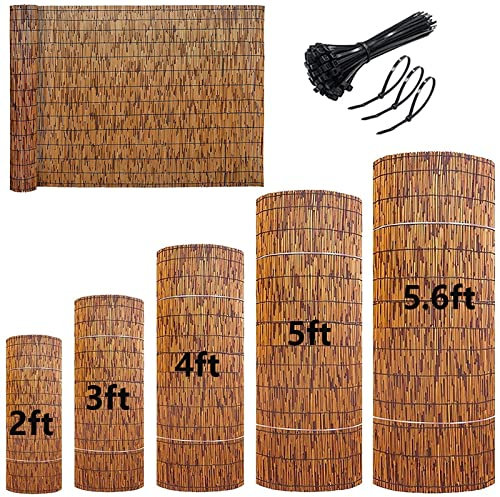 HSPLXYT Natural Reed Fencing, Reed Screen for Garden, Privacy Fence,Bamboo Reed Roll-Up Blind Shades,2 3 4 5 Feet High,Hand-Woven,Sun Shade,Waterproof (Size : 61x213CM(2x7ft))