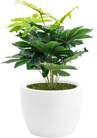 NICOLI VASO HERA MATT CIOTOLA, IN RESINA ROTAZIONALE, PER INTERNO ED ESTERNO, DIAMETRO CM 30-40 -50-60 (Ø cm 40 con Aralia 70 cm, bianco)