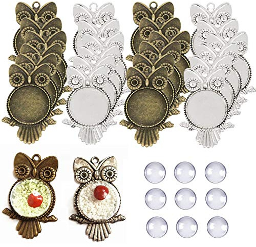 Chris.W 48-teiliges Anhänger-Tabletts, 24-teiliges Eulen-Anhänger-Lünette (Silber und Bronze) mit 24 Glas-Cabochon-Kuppeln für Foto-Anhänger, Handwerk, Schmuckherstellung