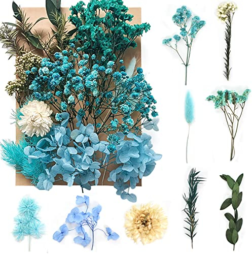 Colexy Fleurs Séchées Naturelles, Vraies Fleurs Pressées Séchées Feuilles Florales Multicolores Décoration pour Résine Epoxy Bijoux DIY Bougie Artisanat Scrapbooking Maquillage Nail Art (Bleu)