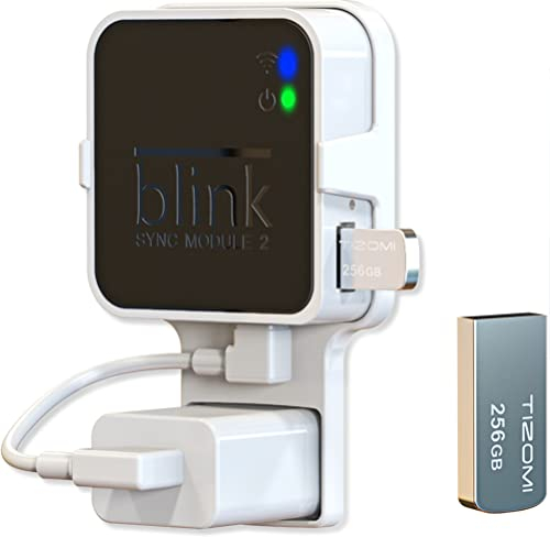 Presentazione di unità flash USB Blink da 256 GB per archiviazione video locale con il supporto Blink Sync Module 2 (Blink Add-On Sync Module 2 non è incluso)