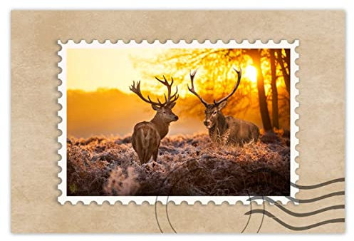 Wandsticker Dekor Foto Aufkleber 120x80cm Zwei Hirsche Sonnenaufgang Nr. H786M_WENS1B