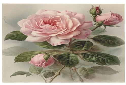 LFDSYEOQ Waschbarer Outdoor-Teppich, Vintage, Rose, Wohnzimmerteppich, rutschfest, schmutzabweisend, Teppich für Fußmatte, Boden, Eingangsbereich usw