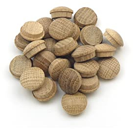 Oak Mushroom Plug 3/4 - Pack of 25