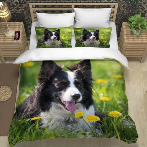 Sezhiqeu Housse de Couette 200x200 Joli Border Collie, Parure de Lit Chien Adulte 2 Personnes en Microfibre Douce Imprimée 3D avec 2 Taies d'oreiller avec Fermeture Éclair C-4035