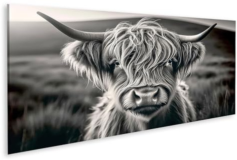 islandburner Prime Bild auf Leinwand Highlander Rind Porträt Schwarz Weiß Bilder Wandbilder Poster