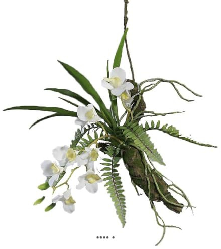 Artificielles.com – Orchidee Dendrobium Dendrobium, Latex, auf Ast zum Aufhängen, L50 cm, cremefarben