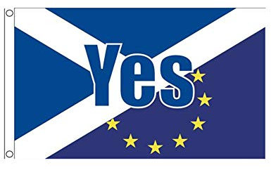 Stormflag Fabricant chinois Yes Flag Scotland 90 cm x 150 cm Polyester tricoté 110 g avec œillets et double couture