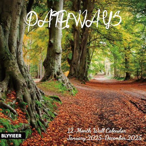 Wandkalender für 2024, 14 Monate, Wandkalender zum Aufhängen, Nov.2023-Dez. 2024, Wege-Kalender 2024, 30,5 x 61 cm (offen), großes glänzendes Papier, Organisation & Planung, Geschenk