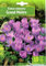 AGRONOM | KROKUSSE- GRAND MAITRE | Mehrjährige Blumenzwiebeln | Violett Blumen | Werden in Blumengärten, Töpfen angebaut, in blühenden Rasenflächen gepflanzt | Krokus zwiebeln | 10 Blumenzwiebeln