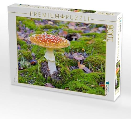 CALVENDO Puzzle Fliegenpilz | 1000 Teile Lege-Größe 64 x 48 cm Foto-Puzzle für glückliche Stunden