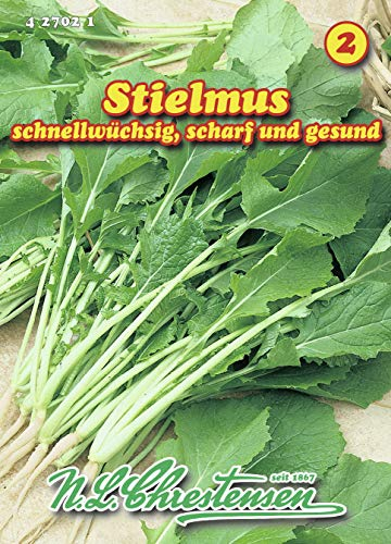 N.L. Chrestensen 427021 Stielmus (Stielmussamen)