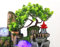 Queeucaer Springbrunnen Garten Brunnen LED Beleuchtung Grüne Pflanze! Gartenbrunnen Led Outdoor Wasserfall Dekoration
