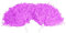 Tbest Cheerleading Pompons Poms, 4 Stück Blumen Cheerleader Pom Poms Pompoms Cheer Pom Poms Modische Cheer Kostüm Zubehör für Party Dance Sports(Lila)