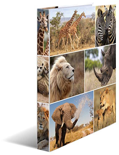 HERMA 19476 Ring Binders A4 Animals Africa, Pack of 3, Slim, 2 Rings, 35 mm Wide, Cardboard Folder with Inner Print for School and Office, Sturdy Cardboard Ring Binder Set for Boys and Girls