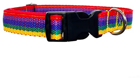 Hundehalsband Regenbogen M Halsband Verstellbar
