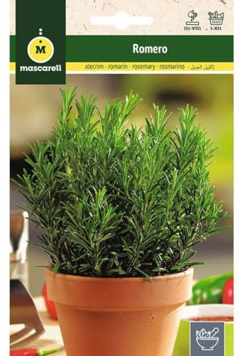Mascarell Semillas, ROMERO COMÚN, Semillas de Hierbas Aromáticas para Plantar, Crea tu Propio Huerto en Casa. 0,2 .Gramos