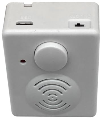 Ujjdwiurgh Für Stofftiere, kompatibel mit USB beschreibbare Soundbox, programmierbare Ein-Tasten-Muisc-Spieluhr mit MP3-Player