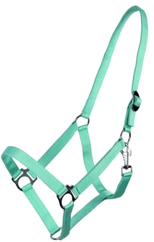 QHP Nylonhalfter Genickstück verstellbar durch Schiebeschnalle (Pony, Türkis)