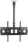 Decken-TV-Halterung, hängende TV-Halterung, höhenverstellbar, teleskopisch neigbar und schwenkbar, passend für 40-75-Zoll-Fernseher (Größe: 1,5 m) (OneColor 2 m)
