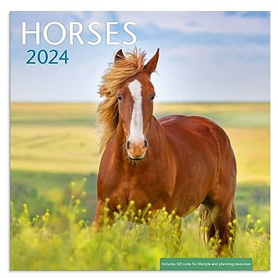 Wandkalender Pferde 2024