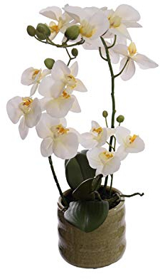 mucplants Orchidee Real Touch 50cm weiß im Keramiktopf Kunstblumen künstliche Orchidee