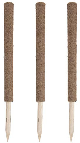 Set Kokos-Pflanzstab 110cm 3x05663