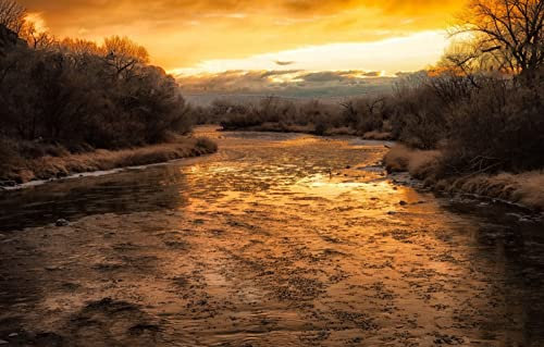 LHJOYSP extrem schwere puzzle1000 Teile,natürliche Schönheit,75x50cm