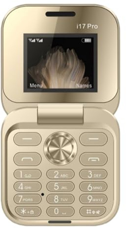 Mini Flip Phone for Elderly & Backup - 2G Dual SIM FM Radio, Large Keypad, Non-Smart Simple Mobile with Speed Dial | for Parents (C)