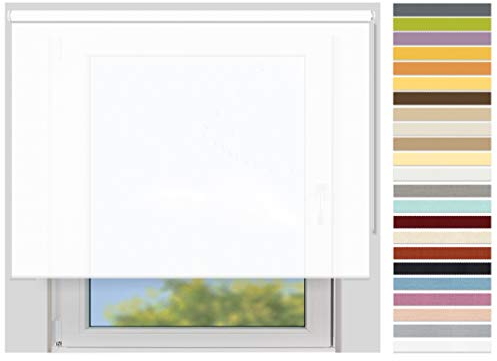 EFIXS Sichtschutzrollo Maxi - 32 mm Welle - Breiten: 40-240 cm - Höhen bis 240 cm - Hier: 220 cm x 190 cm (Stoffbreite x Höhe) - schneeweiss (100) - lichtdurchlässig - Blickdicht