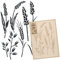 NAKLEO Pochoir pour Peinture Murale Grand Format 43x64cm, Modèle en Plastique et Réutilisable, Céréales Épis Blé, DIY Bricolage Artisanat Décoration a Peindre, Bois Tissu Mueble