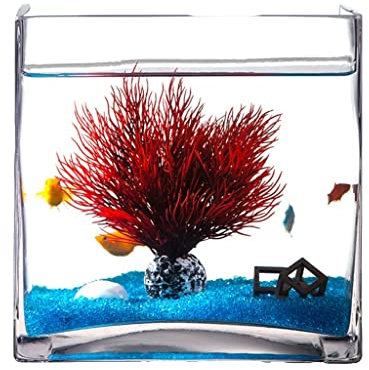 Personalidad Creativa Cuadrada de Cristal pecera Acuario hogar Sala de Estar Escritorio Tortuga Tanque decoración del Acuario (Color : M)