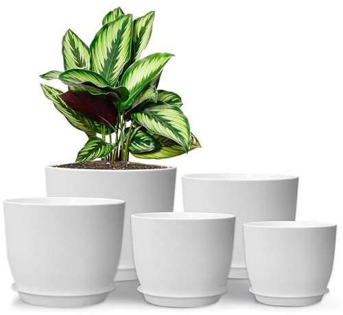 MUAEEOK 5 Pack Plant Pots with Drainage 25/23/20/18/16CM Home Decor Flower Pots for Indoor Planter - Pack of 5 Plastic Planters, Cactus, Succulents Pot Indoor (White)