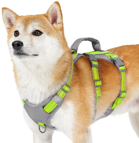 Huntboo Sicherheitsgeschirr Hund Ausbruchsicher, Panikgeschirr für Hunde, Reflektierendes Geschirr Hund mit Griff, Verstellbare Hundegeschirr für kleine, mittelgroße und große Hunde (Hellgrün,S)